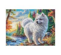 Gato Persa Blanco en el Campo de Flores Puzzles 500 Piezas Maquetas 3D Educativas Happy Time Rompecabezas para Familia Construir DIY Moderno Aliviar Estrés Decoración 500 PCS