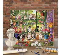 Gato Pintura por Numeros para Adultos y Niños con Kit Completo, DIY Invernadero Pintura por Números 45x60cm (Enrollado Sin Arrugas), 3 Pinceles y Pinturas Acrílicas- Decoración Regalo W-O733