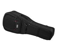 Gator G-PG E/A Double Bag