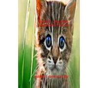 Gatos Imagens Trabalhadas (ebook)