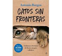 Gatos sin fronteras: Andanzas y fortunas de Remo, un gato callejero (Fuera de colección)