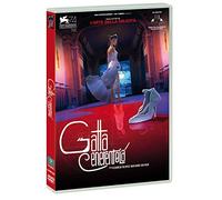 Gatta Cenerentola [DVD]