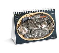 Gatti & relax. Calendario da tavolo 2026. 14 mesi (Un anno con Quattrozampe)