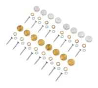 Gatuida 16 Juegos de Tornillos para Espejo de Acero Inoxidable 304 Gruesos Cubierta Decorativa, 16 Mm Cepillados Dorados y Plateados, Clavos Publicitarios para Montaje en Paredes