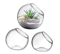 Gatuida 3piezas Maceta Hidropónica De Transparente para Plantas De Aire Unidades Jarrón para Suculentas y Cactus Estantería