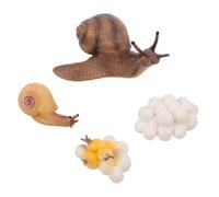 Gatuida 4 Piezas Figuritas Educativas de Ciclo de de Caracoles para Decoración Didáctica y Juguete Cognitivo para Aprendizaje y Diversión Infantil