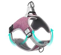 Gatuida Arnés para Perros Ajustable Chaleco Transpirable Reflectante Arnés Pecho y Espalda Sin Tiro para Mascotas Medianas