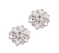 Gatuida Clips de Zapatos con y Adornos Delicados para Mujer Decoración Desmontable para Bodas y Fiesta Accesorios DIY para Tacones y Zapatos Planos Plata