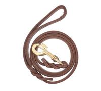 Gatuida Correa para Perros de Duradero 1,3 M de Largo Ancho de 1,2 Cm Diseño de Mango Ancho para Paseos y Entrenamiento Medianos Superior