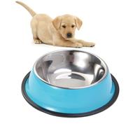 Gatuida Cuenco Antideslizante Inoxidable para Mascotas de Azul para Perros y Gatos Comedero de Alimento y Agua para Mascotas