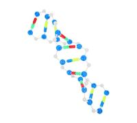 Gatuida Educativo de ADN de Doble para Enseñanza de Biología y Genética Kit de Molecular para Escuelas