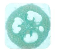 Gatuida Jabón Hecho a Mano de Lufa Exfoliante 100g Barra Natural para Cuerpo y Rostro Uso Diario Piel Suave Limpieza Profunda