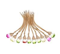 Gatuida Juego de 10 Botellas de Spray para Coche Colgantes de Vidrio y Madera, Pequeñas y Ligeras, Difusores de Fragancia Ideales para Obsequio o Vestíbulo Color Aleatorio