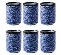 Gatuida Juego de 6 Tazas de té de cerámica Estilo japonés, Tazas de Agua