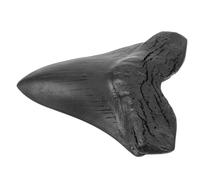 Gatuida Muestra Gigante De Dientes De Megalodón De Resina Réplica Paleontológica Decoración Educativa Coleccionable para Exhibición y Accesorios De Aula