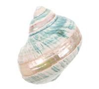 Gatuida Natural Marina Decorativa Mediterránea para Acuario Conchas Naturales para Decoración de Peceras Exhibición Auténtica de Marinas para Ambiente Costero y Colección Náutica