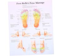 Gatuida Póster De Reflexología Podal 38x30 Cm, Cuadro De Masaje Anatómico Para Educación Médica, Arte Mural Duradero Para Decoración De Oficina y Estudio Profesional
