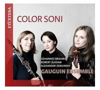 Gauguin Ensemble - Color Soni