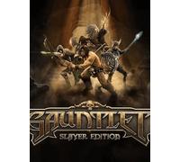 Gauntlet Slayer Edition + 12 DLC (PC) - Steam Key - GLOBAL