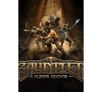 Gauntlet - Slayer Edition (PC) Steam Key GLOBAL