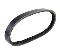 GavdMUotX Correa de transmisión para transportador de Pista Larga BR250 Bravo Compatible con los números de Pieza 820-17641-00 820-17641-01 8F2-17641-01 89X-17641-00 89X-17641-01