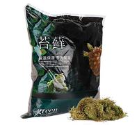 Gavigain Terrario de Reptiles Musgo Verde Sphagnum Musgo Sustrato Decoración Suministros para Reptiles