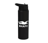 Gaviotas de Brighton Stainless Steel Insulated Water Bottle