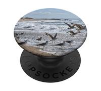 Gaviotas Volando Playa Costera Olas Fauna Escena PopSockets PopGrip Adhesivo