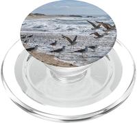 Gaviotas Volando Playa Costera Olas Fauna Escena PopSockets PopGrip para MagSafe