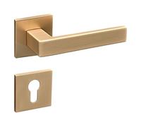 Gavroche Juego de tiradores de puerta con cilindro perfilado PZ, picaporte para puertas interiores en oro mate, juego de picaporte para puerta de habitación con rosetón cuadrado de zinc, herrajes para