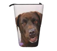 gawuoab Estuche telescópico para lápices con Base de pie, diseño de Perro Labrador marrón y Lavanda, Retriever