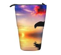 gawuoab Estuche telescópico para lápices con Forma de delfín Saltando