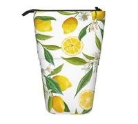 gawuoab Estuche telescópico para lápices con Soporte para lápices de Ramas exóticas de limonero con Estampado Yummy Delicious