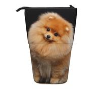 gawuoab Estuche telescópico para lápices con Soporte para lápices, diseño de Cachorro de Perro Pomerania