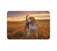 gawuoab Felpudo de Interior Lavable y Antideslizante de 61 x 40 cm, con diseño de Beagle Lawn, Perros paseando y Atardecer. Alfombras de baño.