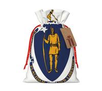 GaxfjRu Bolsa de arpillera con estampado de bandera del estado de Massachusetts, regalos de fiesta de Navidad, bolsa de regalo para regalos, varios tamaños (S, M)