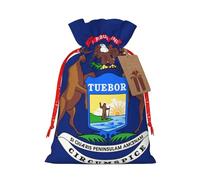 GaxfjRu Bolsa de arpillera con estampado de bandera del estado de Michigan, regalos de fiesta de Navidad, bolsa de regalo para regalos, varios tamaños (S, M)