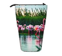 GaxfjRu Colorido y fabuloso estuche telescópico portátil con estampado de flamencos, organizador con múltiples ranuras, para herramientas de escritura y accesorios