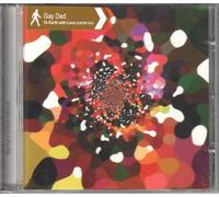 Gay Dad - To Earth With Love