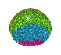 Gay Pride Flag Rainbow Glitter Stripes Gorro de ducha para mujer Ajustable Doble impermeableBathing Shower Hat Protección para el cabello Reutilizable Ladies Spa Salon Shower Hat