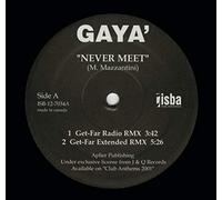Gaya - Never Meet / Sex Machine [Vinilo]