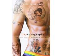 Gayconography: UNA VISION ARTISTICA DE LA IMAGEN HOMOSEXUAL (PLAN B)