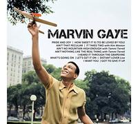Gaye, Marvin - Icon