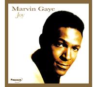 Marvin Gaye - Joy