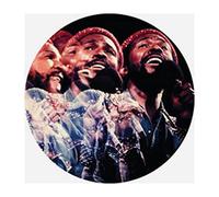 Gaye, Marvin - Live