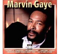 Gaye, Marvin - Sexual Healing
