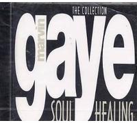 Gaye Marvin - Soul Healing