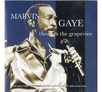 Gaye,Marvin - Through The Grapevine [Import]