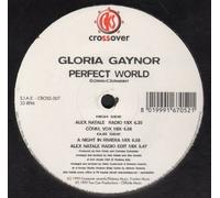 Gaynor Gloria Vs Alex P - Perfect World [Vinyl 12 [Vinyl LP]