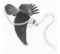 Gaza - He Is Never Coming Back